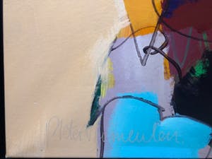 Pieter Vermeulen - geen titel kopen? Bied vanaf 100!