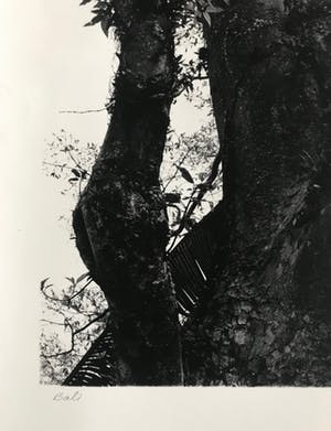 Norbert Buchsbaum - Gelatine zilverdruk - 1979 - 'Bali' - Gesigneerd kopen? Bied vanaf 45!