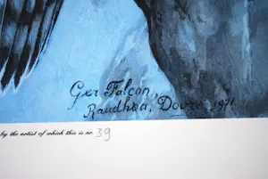 Hendrik Johannes Slijper - Giervalk, Noorwegen 1987 - oplage 350, handgesigneerd - groot - kopen? Bied vanaf 95!