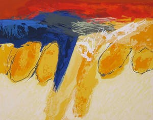 Robbert Fortgens - Zeefdruk, Voorjaar kopen? Bied vanaf 1!