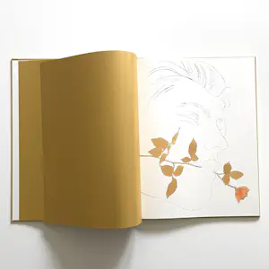 Andy Warhol - Zeven geïllustreerde boekjes 1952–1959 kopen? Bied vanaf 30!