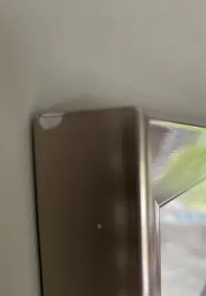 Karin Bos - Zeefdruk: Appearance / disappearance kopen? Bied vanaf 30!