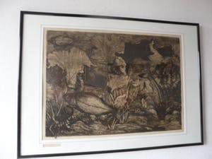 Jan Schonk - Ets, Titel,"Vissen in aquarium". grote ets. kopen? Bied vanaf 45!