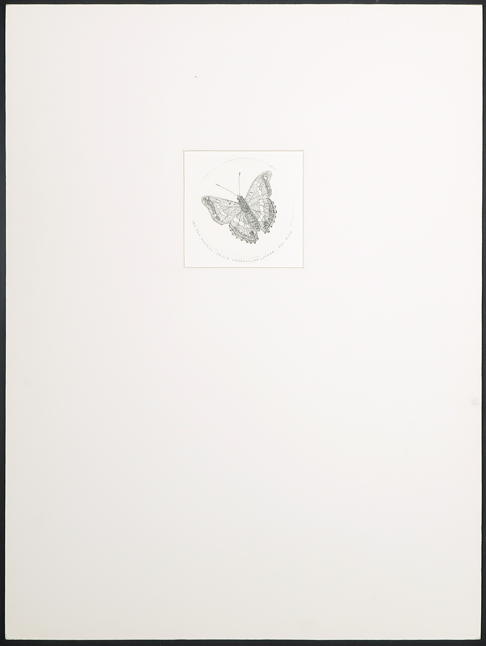 Jan van Winkel - Ets, Grote weerschijnvlinder kopen? Bied vanaf 1!