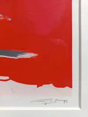 Ger van Elk - The Cutex Song, zeefdruk op fotolitho (netjes ingelijst, groot) kopen? Bied vanaf 295!