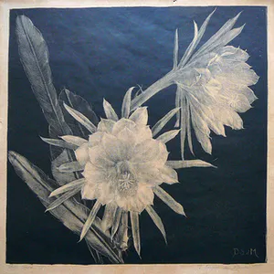 Dora Struick du Moulin - Witte cactus -litho circa 1920- kopen? Bied vanaf 35!
