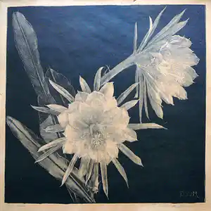 Dora Struick du Moulin - Witte cactus -litho circa 1920- verkocht voor € 35!