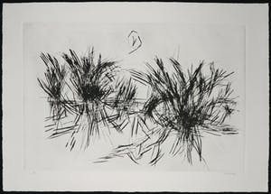 Anton Buytendijk - Droge naald, Spinnenwebben kopen? Bied vanaf 40!