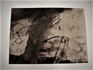 Jo Manders - Jaren 60 Illusionistisch realisme - Grote "Insecten" Sepia tekening - gesigneerd kopen? Bied vanaf 20!