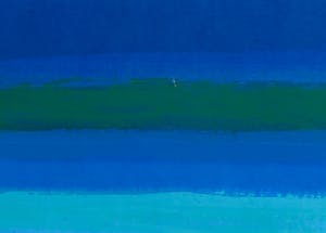 Ton Schulten - Zeefdruk, Door de velden - Ingelijst (Groot) kopen? Bied vanaf 350!