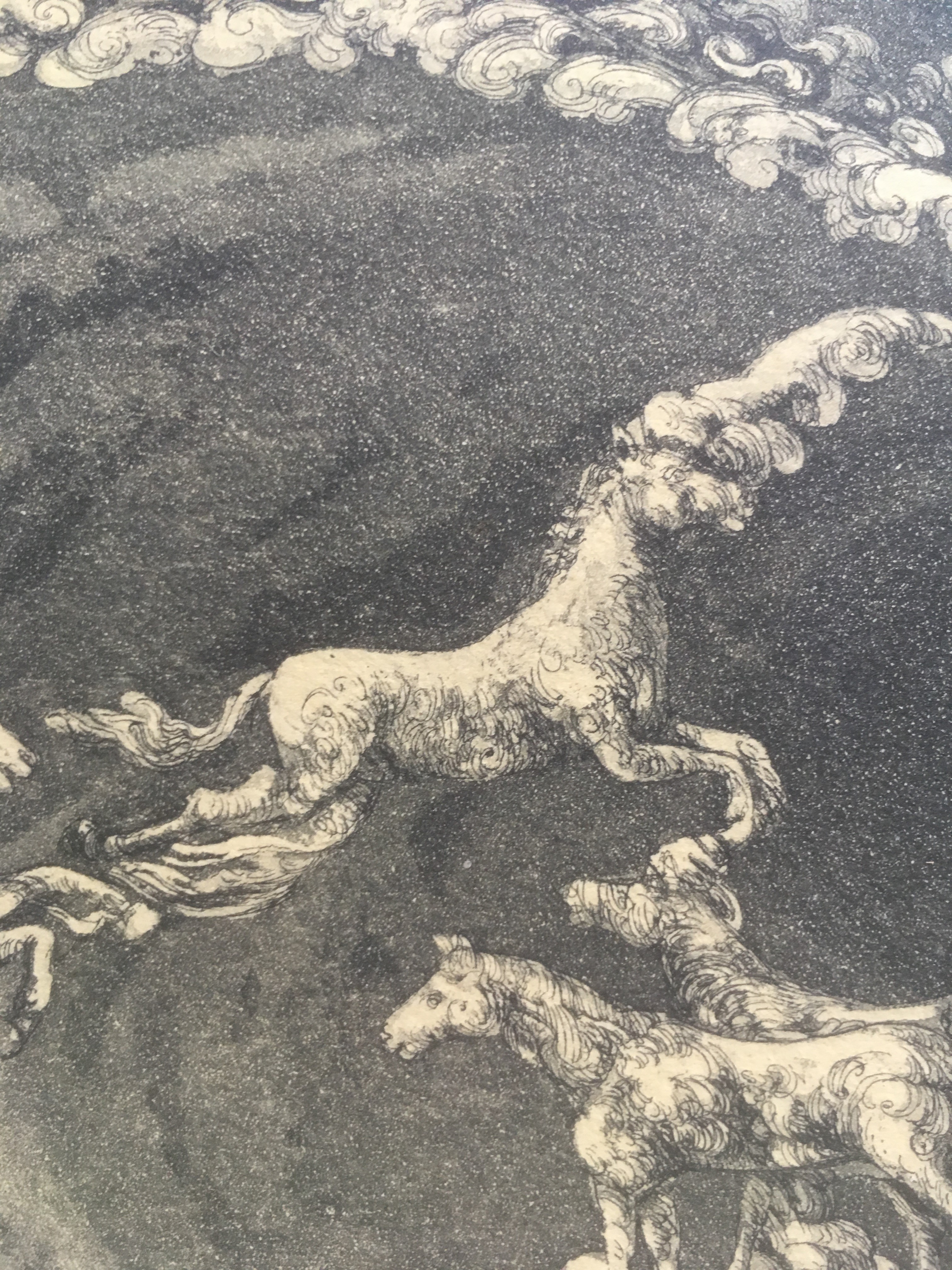 Niet of onleesbaar gesigneerd - Ets met paarden hemelvaart kopen? Bied vanaf 1!