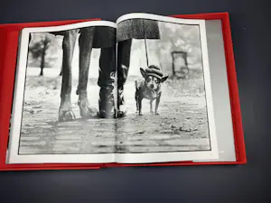 Elliott Erwitt - XXL Special Limited Edition gesigneerd/genummerd + gesigneerde Art Card kopen? Bied vanaf 750!