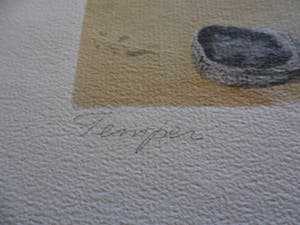 Arthur Burdett Frost - Litho. Titel, Temper, kopen? Bied vanaf 20!