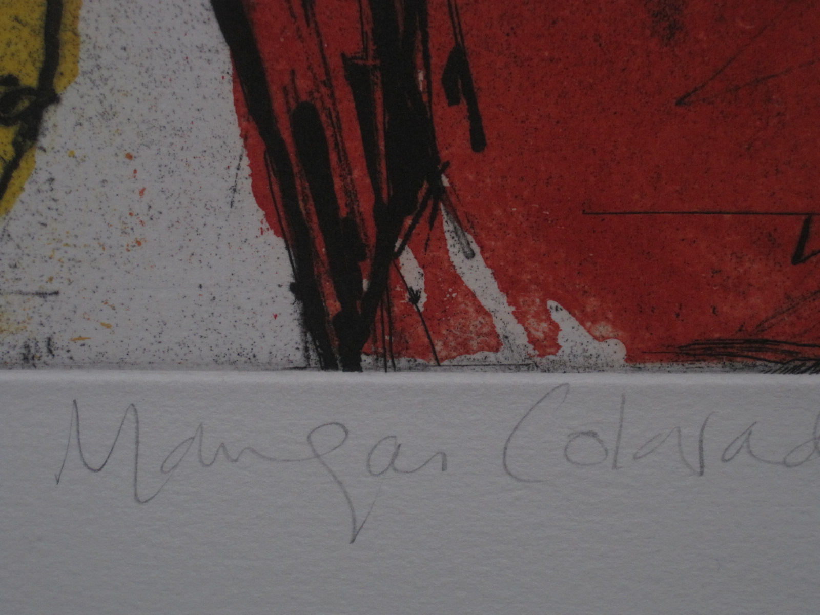 Amanda Faulkner - Intrigerende Grafiek "self regard 1993" gesigneerd kopen? Bied vanaf 1!