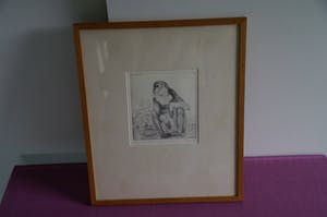 Edwin Kragten - Droge naaldets twee aapjes kopen? Bied vanaf 50!