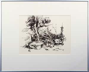 Piet Snoeren - Pentekening op papier, Bomen - Ingelijst verkocht voor € 35!