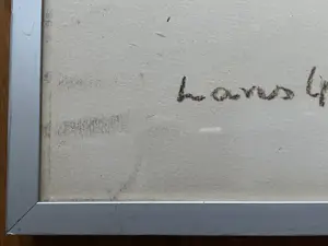 Hans Lie - JUDOKA’ S kopen? Bied vanaf 79!