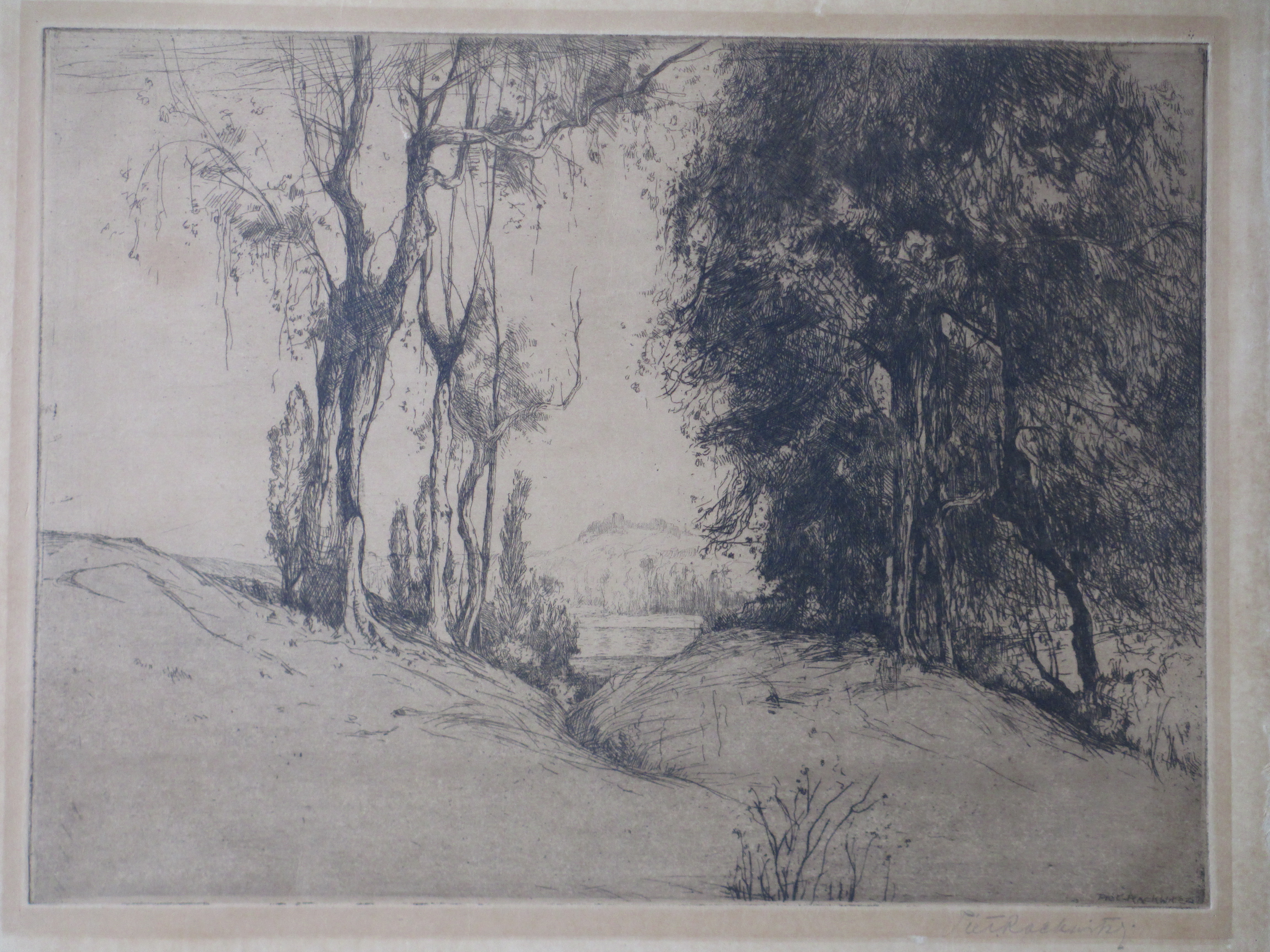 Piet Rackwitsz - Boomrijk landschap - Ets kopen? Bied vanaf 1!