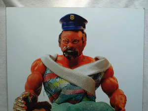 Pet van de Luijtgaarden - Foto , He-Man , Masters of the Universe - 89 x 59 cm. kopen? Bied vanaf 1!