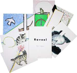 Roger Raveel - Suite van zes zeefdrukken, Felix Vulgaris verkocht voor € 1600!