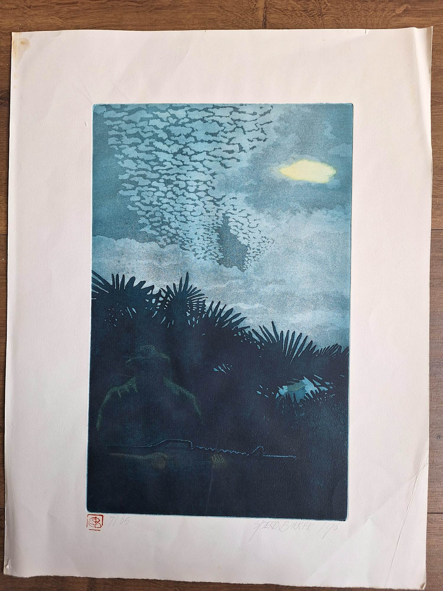 Sjoerd Bakker - Onbekend kopen? Bied vanaf 40!