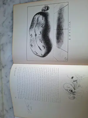 Salvador Dali - 50 secrets of magic craftsmanship kopen? Bied vanaf 125!