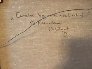 Arie Zwart - Eenden bij de oude riet schoof te Nieuwkoop kopen? Bied vanaf 450!