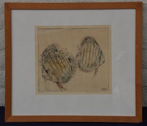 Nel Waller Zeper - Discusvissen met jongen, 4e druk, 1971 - gekleurde ets op papier - BKR Amsterdam kopen? Bied vanaf 20!