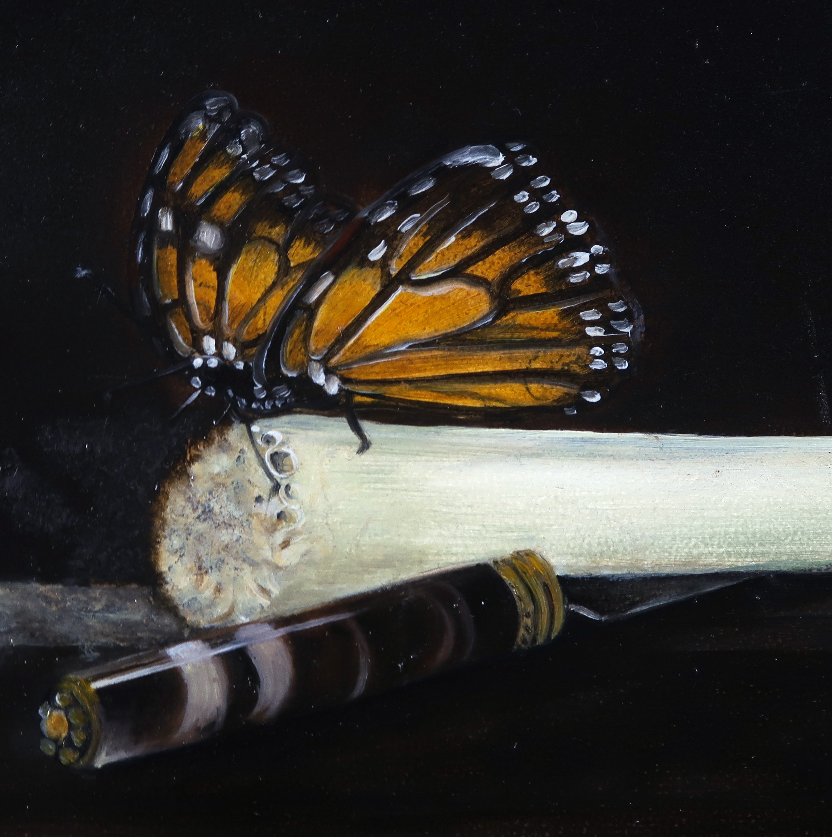 Niet of onleesbaar gesigneerd - Olieverf op board, Vlinder op prei - Ingelijst kopen? Bied vanaf 1!