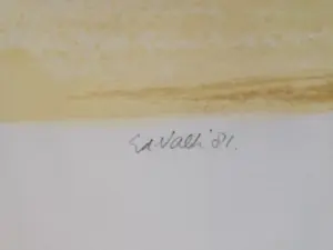 Ed Valk - Litho kopen? Bied vanaf 10!