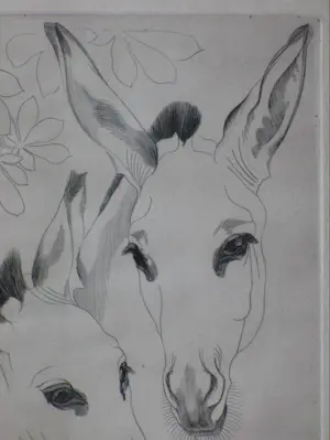 Engelien Reitsma-Valenca - Twee ezels - Kopergravure kopen? Bied vanaf 45!