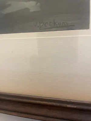 Wim van Beekum - Koe in beek kopen? Bied vanaf 100!