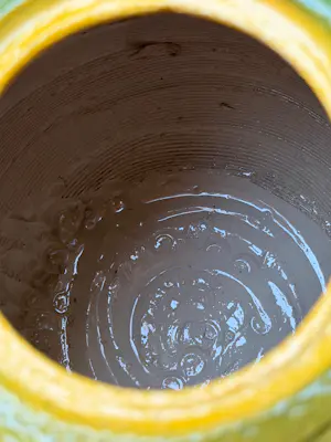 Klaas de Boer - Pot Lotus Bloem kopen? Bied vanaf 75!