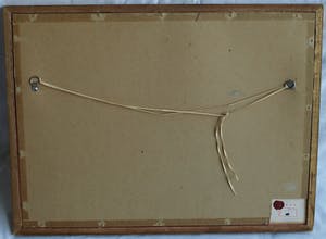 Niet of onleesbaar gesigneerd - Ingelijste zw/w inkttekening / aquarel , Japan? China? , Landschap kopen? Bied vanaf 1!