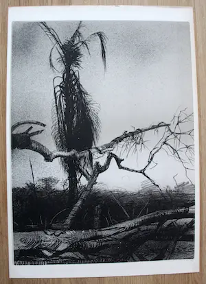 Aat Veldhoen - Rotaprint kopen? Bied vanaf 50!