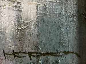 Machiel Hopman - ZONNEBLOEM kopen? Bied vanaf 599!