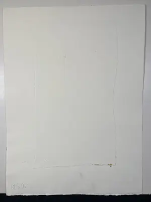 Anton Heyboer - Kleed, ets uit 1966, opnieuw gedrukt in 1987, handgekleurd kopen? Bied vanaf 100!