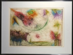 Sam Parabirsingh - Kleurenets, Anima Acradia - Ingelijst kopen? Bied vanaf 40!