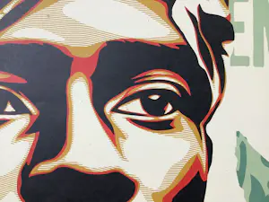 Shepard Fairey - Voting Rights kopen? Bied vanaf 25!