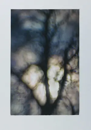 Hans van Ommeren - Set van drie foto's op dibond, Bomen kaufen? Bieten Sie von 20!