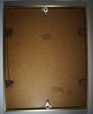 Marcel Bierenbroodspot - verliefde kikkers kopen? Bied vanaf 50!