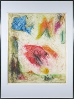 Sam Parabirsingh - Kleurenets, Celestial Freedom - Ingelijst kopen? Bied vanaf 40!