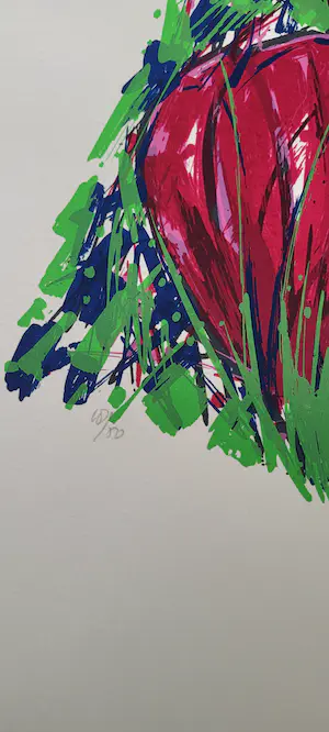 Ad van Hassel - Tulpen kopen? Bied vanaf 1!