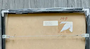 Pim van Halem - Busy bus A kopen? Bied vanaf 45!