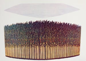 Doris Groeneveld - De bomen (groot) kopen? Bied vanaf 75!