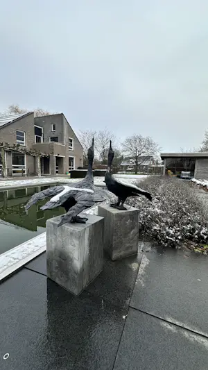 Jonneke Kodde - Contact kopen? Bied vanaf 9500!