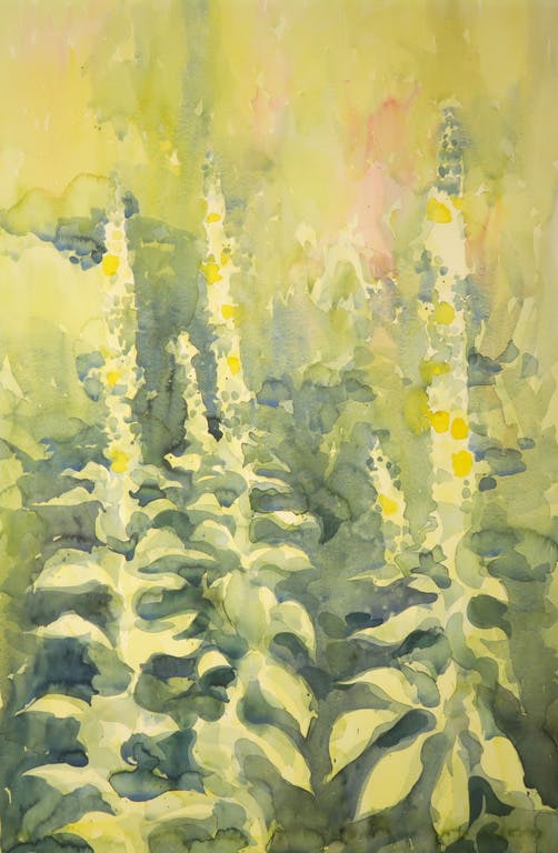 Henk Westein - Henk Westein: Aquarel, 3e dag Reino Zomer verkocht voor € 35!