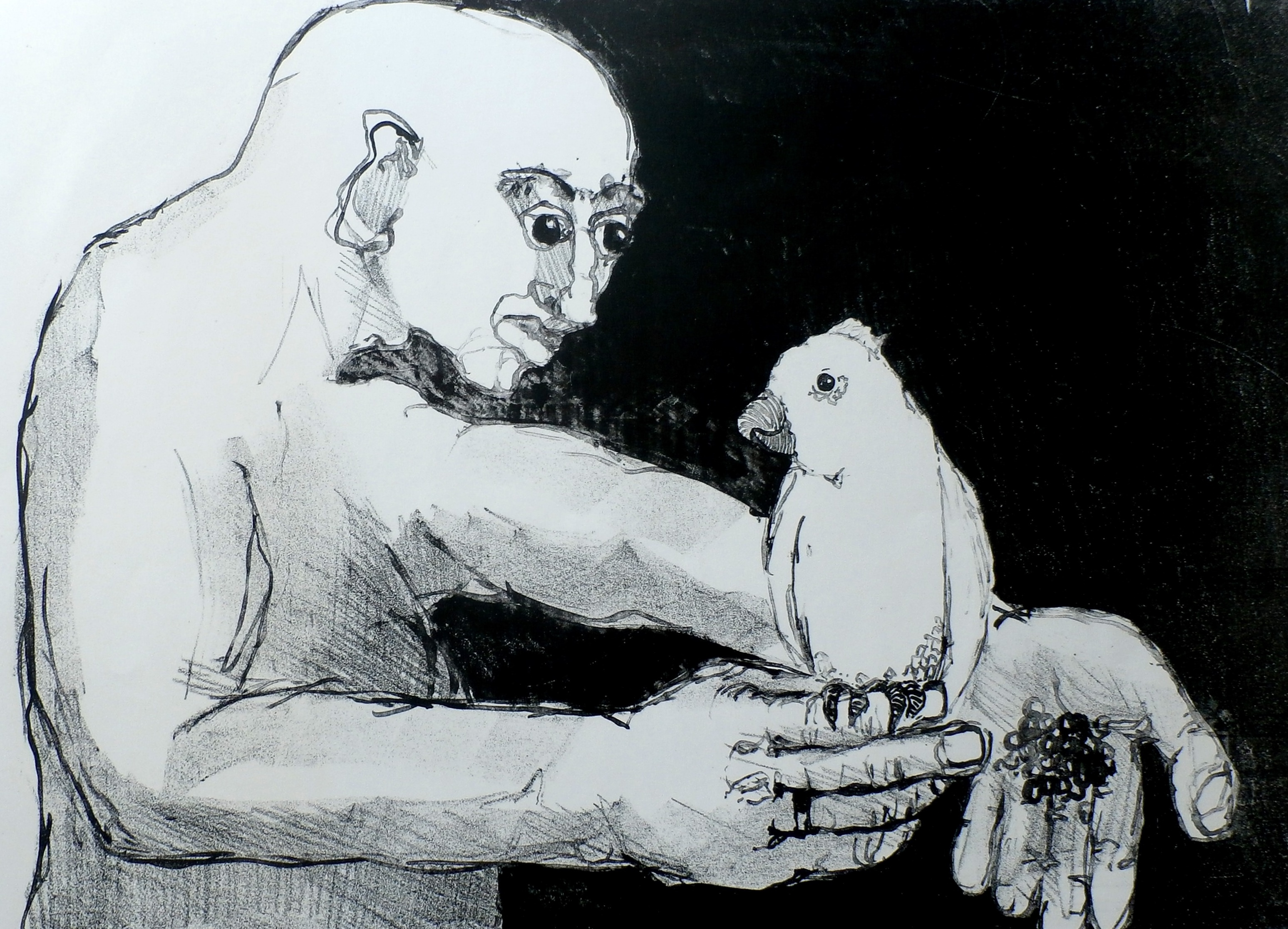 Niet of onleesbaar gesigneerd - litho: klein vogeltje eet uit mijn hand kopen? Bied vanaf 1!