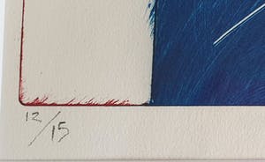 Dana Andreev - Kleurenets: 'Looking back' (1995) - Ingelijst kopen? Bied vanaf 145!