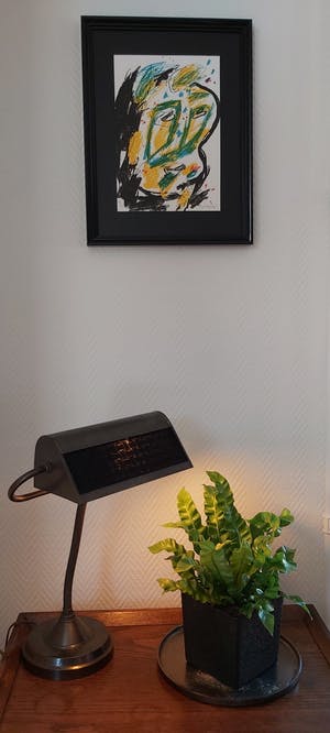 Kees Salentijn - Geen titel kopen? Bied vanaf 15!